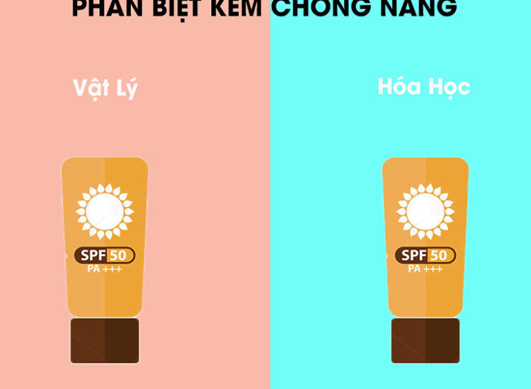 Phân Biệt Kem Chống Nắng Vật Lý và Hóa Học